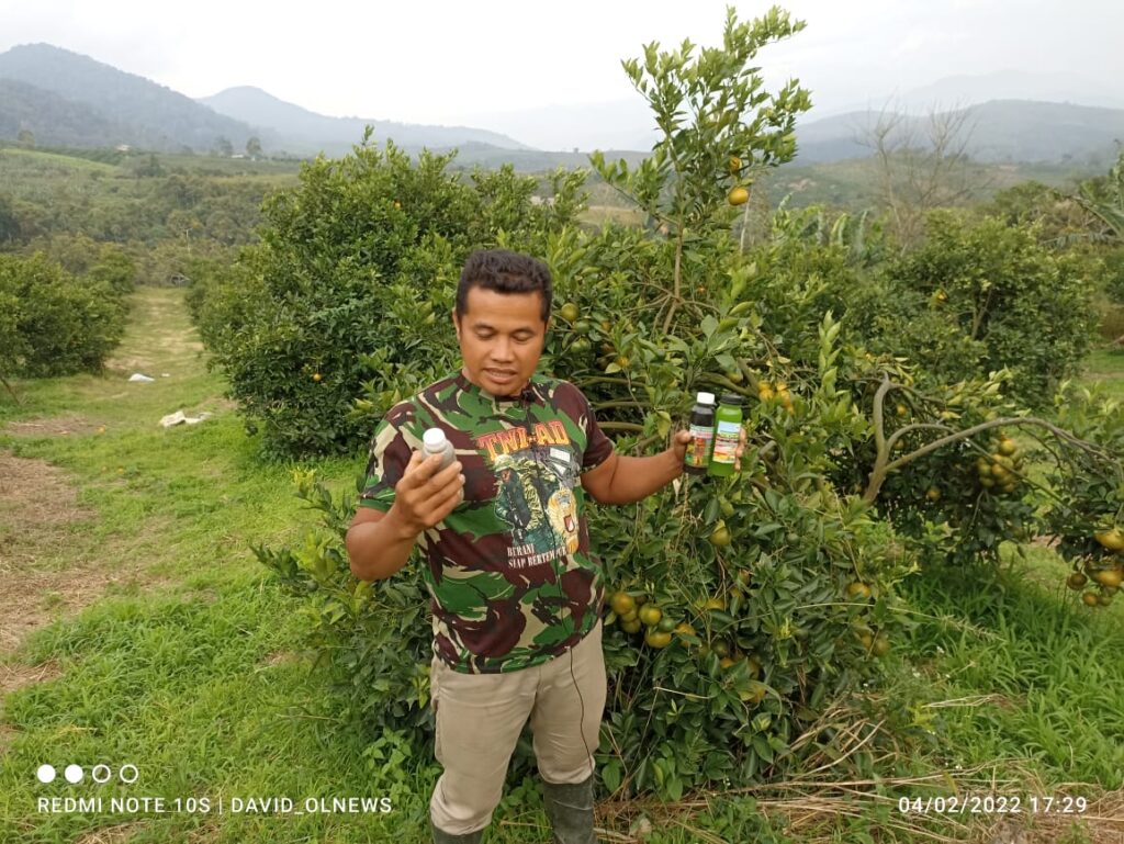 Sopian Sitepu : Saya Sudah Buktikan Hasinya Di Tanaman Jeruk, Luar Biasa..!