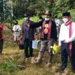 POKDARWIS 02 LUMBAN POKKI
