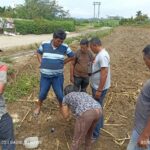 Produk PIA Terbukti Untuk Tanaman Coklat Di Desa Batu Mamak