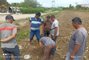 Produk PIA Terbukti Untuk Tanaman Coklat Di Desa Batu Mamak