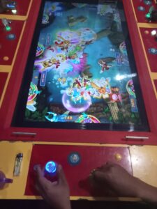 Makin Marak Judi Tembak Ikan di Desa Lau Rempak,Kecamatan STM Hilir