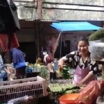 daun sirih untuk relaksasi