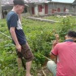 pengadilan negeri gunung sitoli