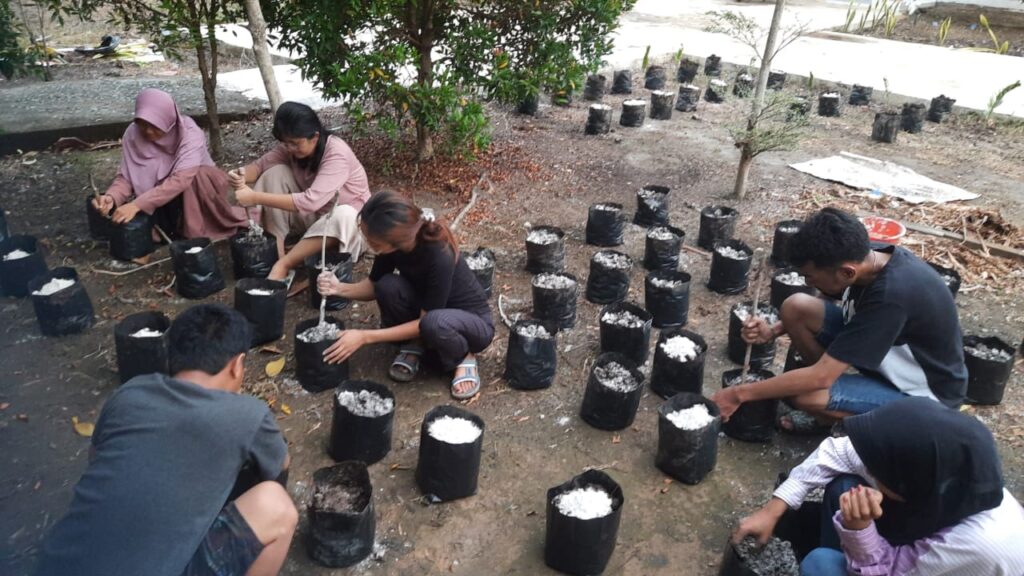 Mahasiswa KKN Kebangsaan Terusan Karya Menanam Bibit Tomat Dan Cabe Di Polibag