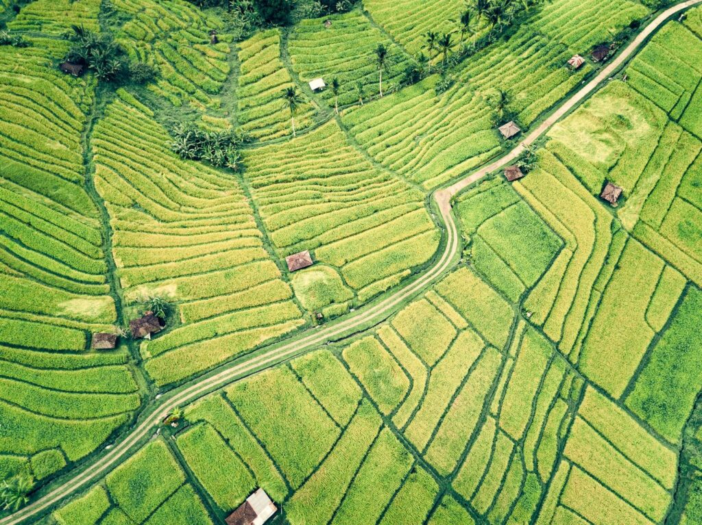 Natural farming: An emerging agroecological farming practice