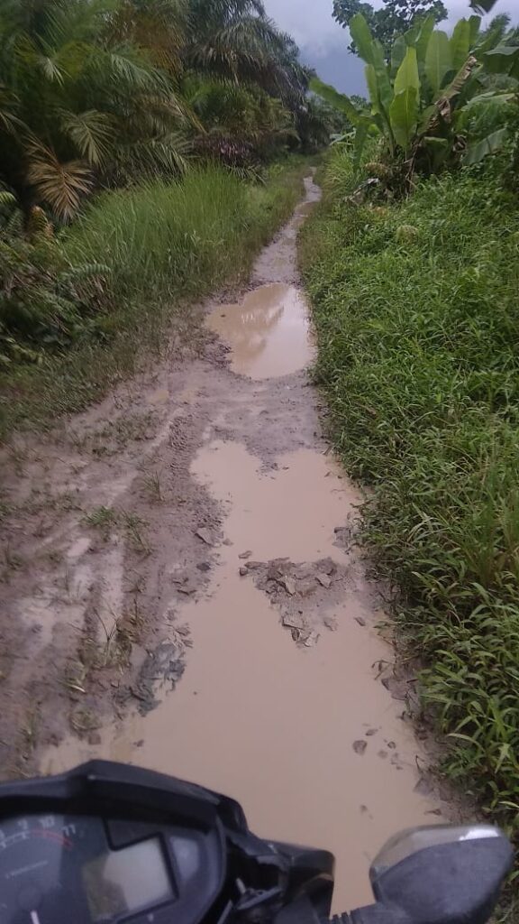 Warga Minta Pemerintah Untuk Perbaikan Jalan Rusak Parah Dusun Peranginan Menuju Desa Teluk Binjai