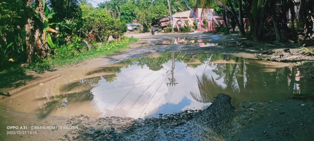 Jalan Lintas Menuju Desa Bangun Rejo Rusak Dan Berlubang