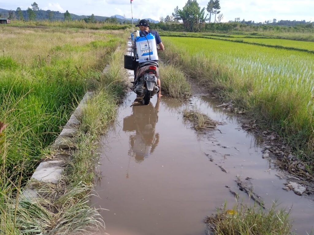 Jerit Warga Kecamatan Dolok sanggul Jalan Pertanian Rusak Parah