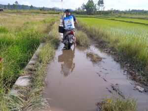 Jerit Warga Kecamatan Dolok sanggul Jalan Pertanian Rusak Parah