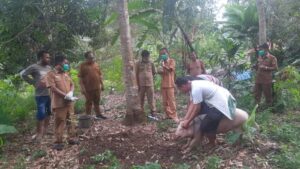 Penyakit ASF Pada Ternak Babi Muncul Lagi  Dinas Peternakan dan Perikanan Lakukan Penyemprotan