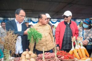 Komisi IV DPR RI Kunker Spesifik Di Lokasi Food Estate Holtikultura
