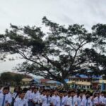 kepribadian manusia
