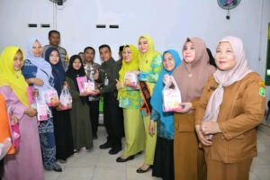 Wakil Bupati Labura Menghadiri Kegiatan Penyuluhan Cegah Stunting di Desa Kuala Beringin