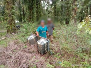 Dua Pelaku Ditangkap Unit Reskrim Polsek Kualuh Hulu Mencuri buah sawit warga