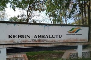 Terkait krisis DAS, GMP Asahan Akan Geruduk Kantor PTPN III Distrik Asahan