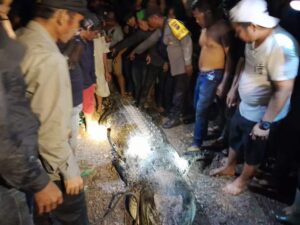 Seorang perempuan Diterkam Buaya saat mencuci di sungai paranginan