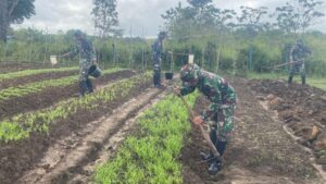 Satgas Yonif 125/SMB Buka Lahan Pertanian Untuk Meningkatkan Kesejahteraan Masyarakat