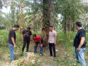 Quick Respon Polsek Pulau Raja melakukan pengecekan terhadap lokasi yg diduga tempat dan gubuk penyalahgunaan Narkoba