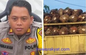 Satlantas Polres Asahan Tilang Truk Angkut Sawit Tanpa Mengunakan Jaring Pengaman