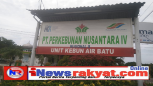 Asisten Afdeling V Energi Kepada Jurnalistik, Brondolan Dan Tandan Buah Sawit Berserakan Dibiarkan Pihak PTPN 4 Kebun Air Batu