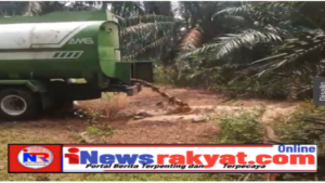 Diduga Mobil Tangki Merek AMS Membuang Limbah Sembarangan Di Areal Kebun Lingkungan Warga.