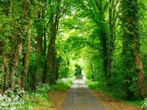 Protecting Our Planet for Future Generations