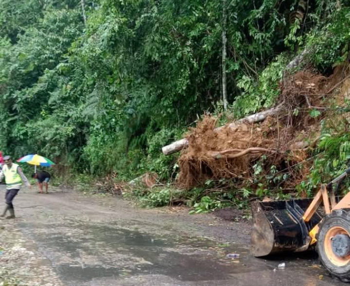 Lancar Kembali! Jalan Aceh-Sumut di Pakpak Bharat Bisa Dilewati Usai Pohon Tumbang Bikin Kemacetan Parah