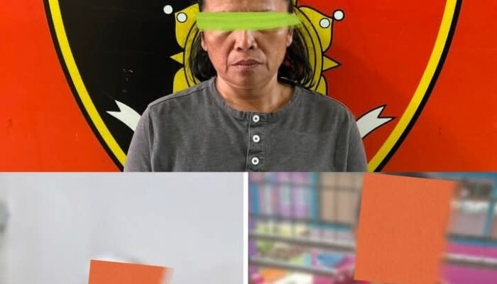2 Bocah di Sidikalang Diduga Disiksa Bibinya Sendiri, Polres Dairi Dalami Motif