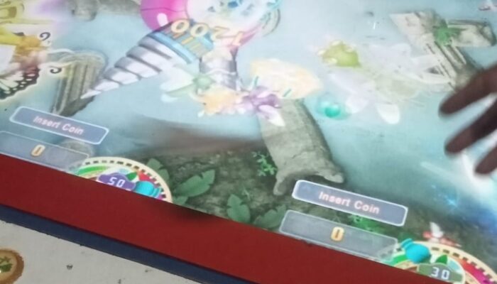 WARGA RESAH! DIDUGA PRAKTIK JUDI “IKAN-IKAN” MARAK DI DESA LAU REMPAK, STM HILIR